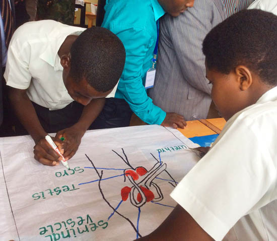 Education_Development